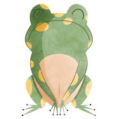 zabki m